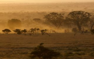 Serengeti ecosystem in yellow dust