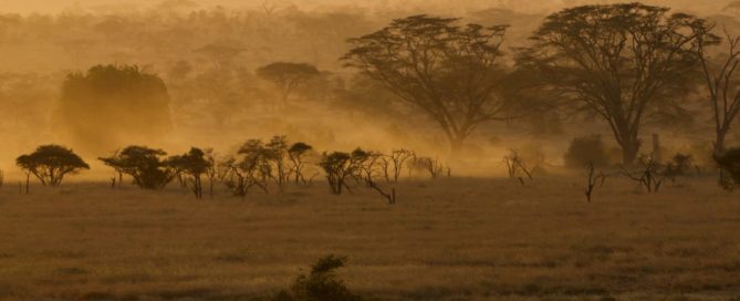 Serengeti ecosystem in yellow dust